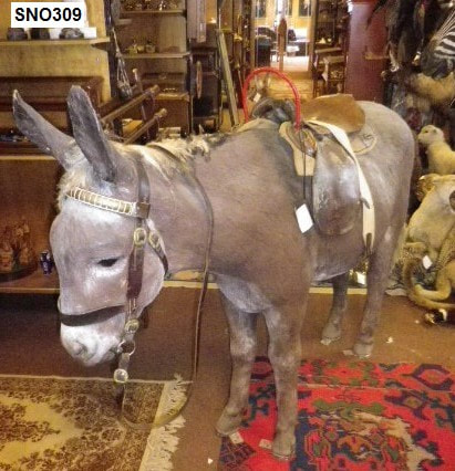 Donkey Replica